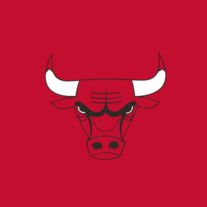 Chicago Bulls