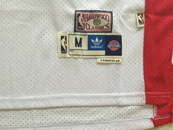 Men 10 Dennis Rodman Jersey White Detroit Pistons Jersey Swingman Fanatics - fastssd - NBA Jersey - nRevo