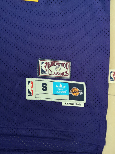 Men 32 Magic Johnson Jersey Purple Los Angeles Lakers Jersey Hardwood Fanatics