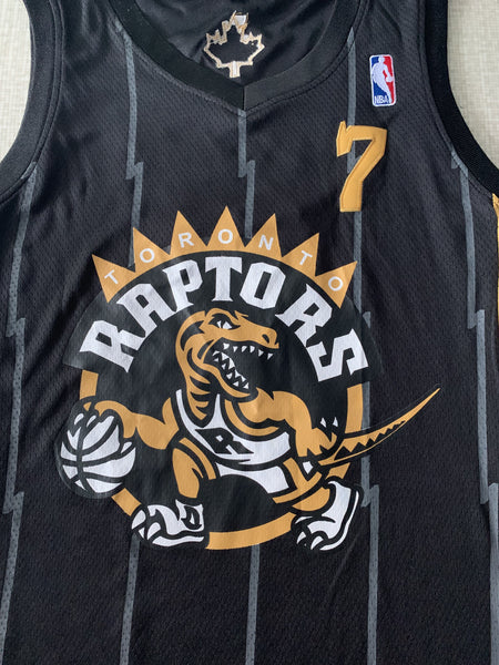 Men 7 Kyle Lowry Jersey Blue Toronto Raptors Jersey Fanatics Swingman