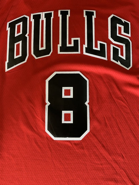 Men 08 Zach LaVine Jersey Red Chicago Bulls Jersey Swingman Fanatics